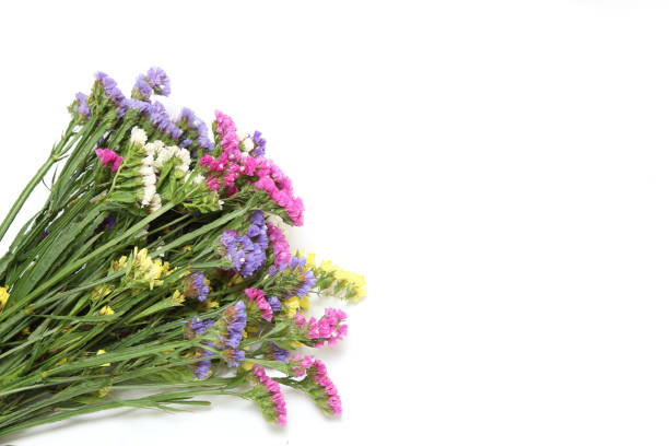 istock Bouquet of Limonium 804728864