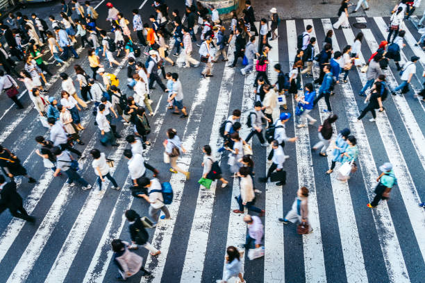 istock busy Zebra crossing in Japan 804734210