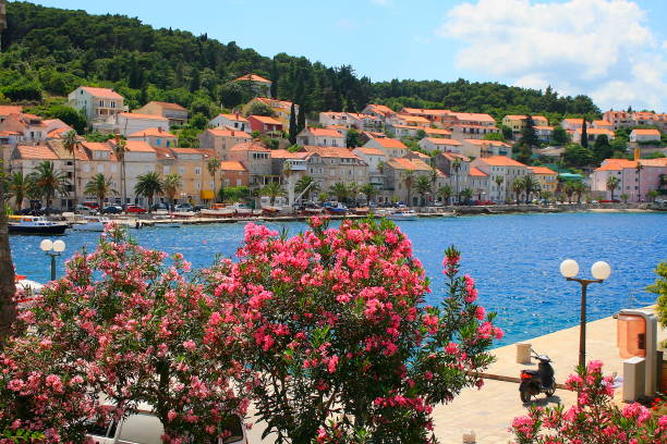 Korcula town harbor, springtime flowers, Idyllic Adriatic sea, turquoise translucent mediterranean beach, Korcula island panorama – Dalmatia, Croatia