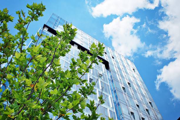 istock Modern building.Modern office building with facade of glass 804754374
