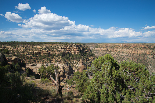 Mesa Verde in the US
