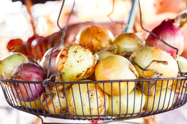 istock Onions at a Produce Stand in Cuba 804761222