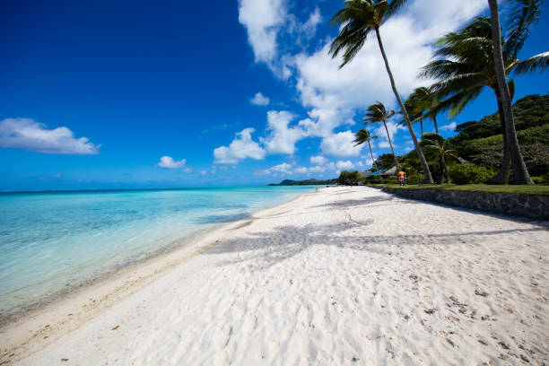 istock Matira beach of Bora Bora, French Polynesia 804773886
