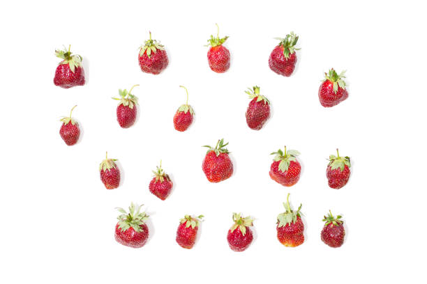 istock Red ripe strawberries isolated on white background. Summer berries. 804779976