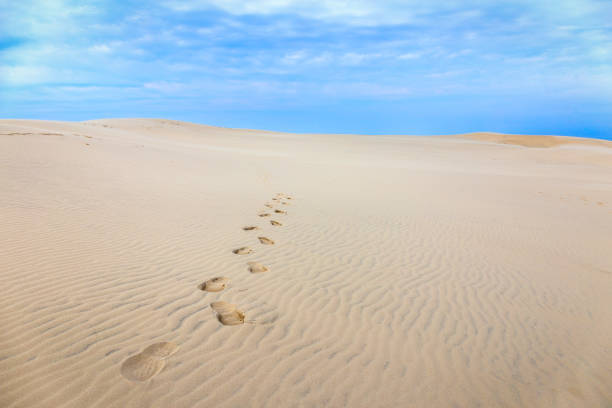 istock Rabjerg Mile near Skagen 804782930