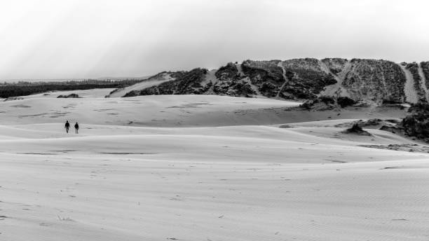 istock Rabjerg Mile near Skagen 804783498