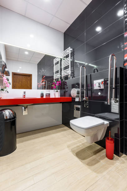 istock Bathroom with toilet for physically handicapped 804786012