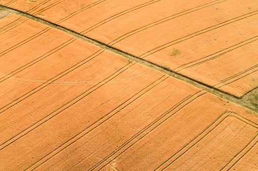 Agricultural area - abstract aerial view of fields