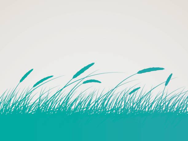 Field Background Grass or wheat field silhouette background. wind backgrounds stock illustrations