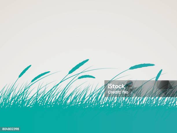 Field Background Stock Illustration - Download Image Now - Wheat, Wind, Agriculture