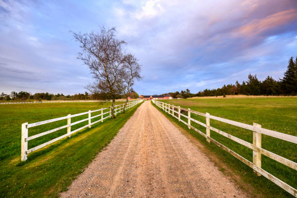istock Danish farm house with fence 804809600