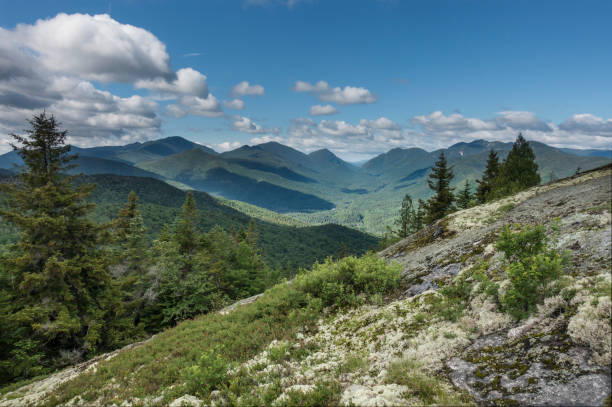 Adirondack Mountain View from Hopkins Mt.