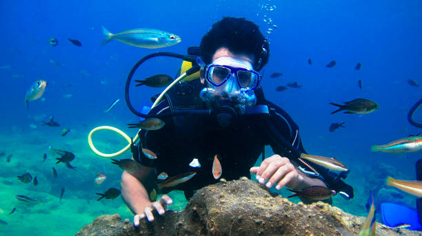 istock Underwater Scuba diver explore and enjoy Coral reef Sea life 804817796