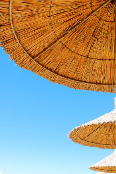istock Beach umbrellas made of straw at blue sky background 804824858