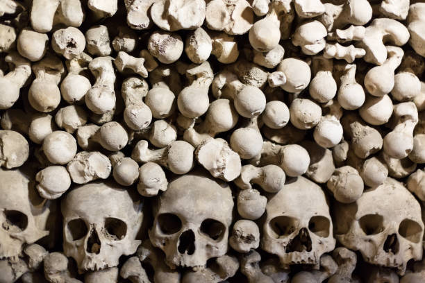 menschliche knochen und schädel als hintergrund - kutna hora skull human bone people stock-fotos und bilder