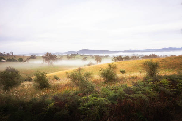 istock countryside landscape field and grass 804856844