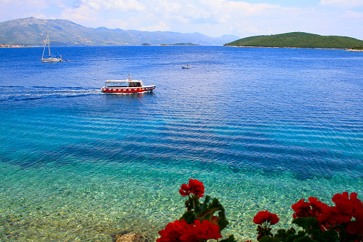 Ship crossing and yacht sailing, red flowers - Idyllic Adriatic sea, turquoise translucent mediterranean beach, Korcula island panorama – Dalmatia, Croatia