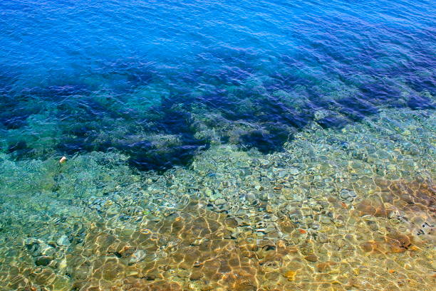 Idyllic Adriatic sea, turquoise translucent mediterranean beach backgrounds, Elafiti islands (  Kolocep, Sipan and Lopud ) sea panorama – Dalmatia, Croatia Idyllic Adriatic sea, turquoise translucent mediterranean beach backgrounds, Elafiti islands (  Kolocep, Sipan and Lopud ) sea panorama – Dalmatia, Croatia dubrovnik lopud stock pictures, royalty-free photos & images