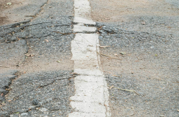 istock Closeup surface damaged road destroyed by tree roots textured background 804872798