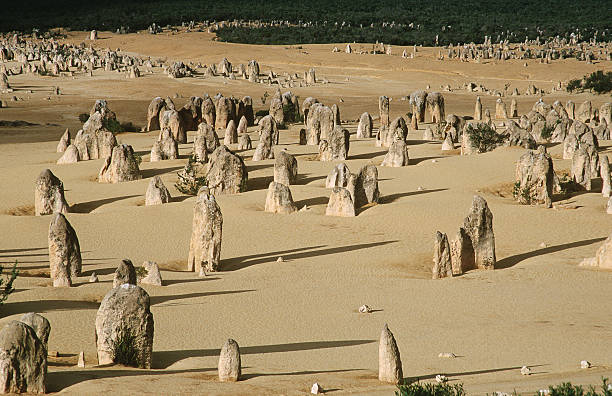 los pináculos - nambung national park fotografías e imágenes de stock