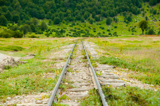 southern fuegian heritage railway - tierra del fuego - argentyna - fuegian zdjęcia i obrazy z banku zdjęć