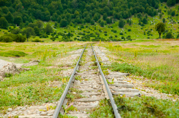 саут-фуэгийская железная дорога наследия - тьерра-дель-фуэго - аргентина - fuegian стоковые фото и изображения