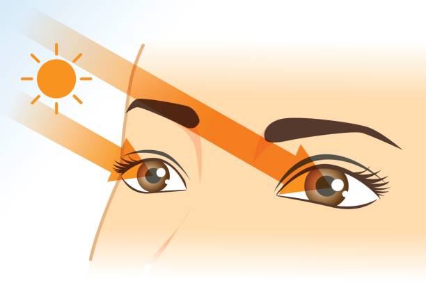 ilustraciones, imágenes clip art, dibujos animados e iconos de stock de luz del sol en los ojos de la mujer. - sensory perception eyeball human eye eyesight