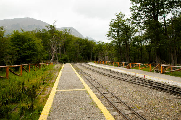 southern fuegian heritage railway - tierra del fuego - argentyna - fuegian zdjęcia i obrazy z banku zdjęć