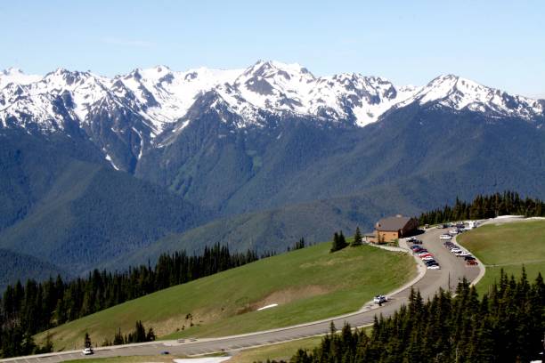 istock Classic View Of The Olympic Mountains 804911788