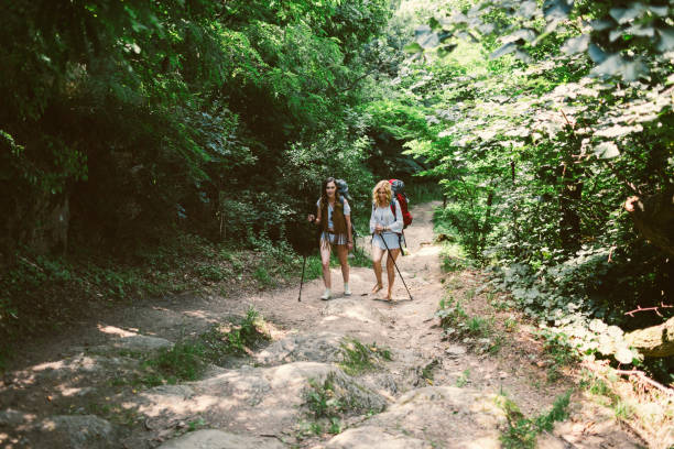 Women hiking in nature. Walking threw the forest, carrying backpacks on their back and holding hiking poles.