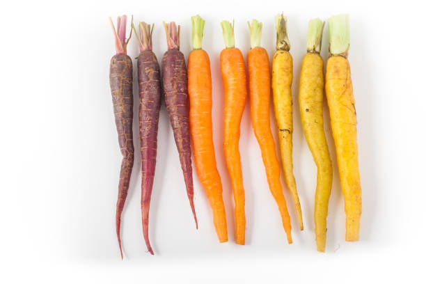 arco iris zanahorias sobre fondo blanco - baby carrot fotografías e imágenes de stock