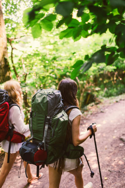 istock Women hiking in nature 804943598