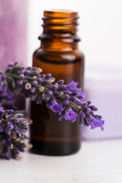istock essential oil and lavender flowers 804947028