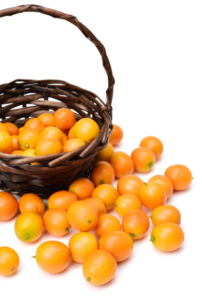 istock Kumquat on the white background 804947446