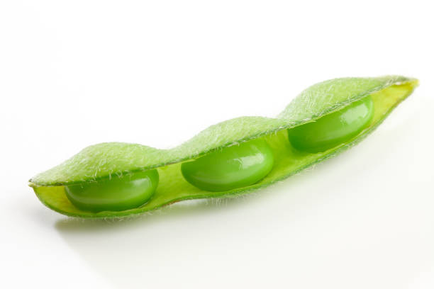 Bowl of edamame soybeans