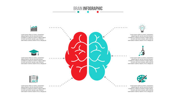 vektor-medizin und gesundheit-infografik. - scheitel stock-grafiken, -clipart, -cartoons und -symbole