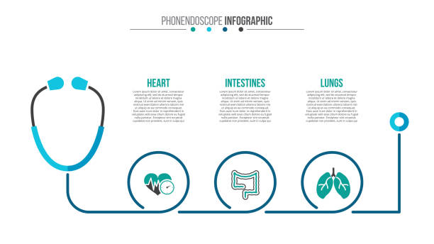 illustrations, cliparts, dessins animés et icônes de vector infographie médicaux et sanitaires. - medical visualization