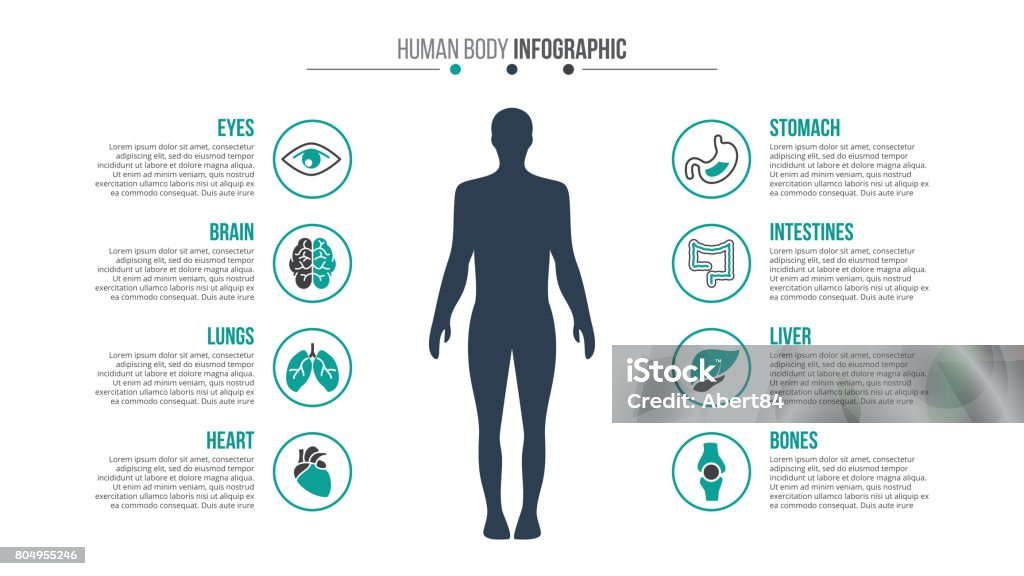 Vektor-Medizin und Gesundheit-Infografik. - Lizenzfrei Menschlicher Körper Vektorgrafik