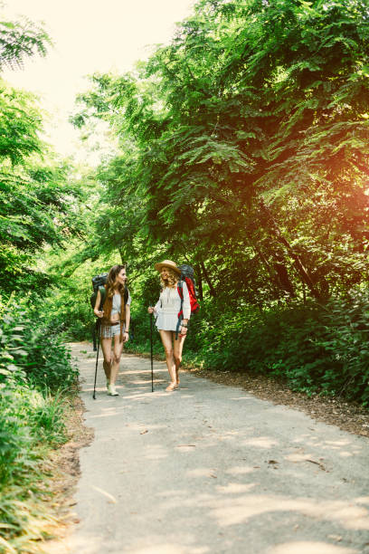 istock Women hiking in nature 804955408