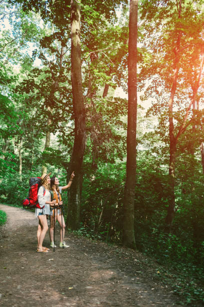 istock Women hiking in nature 804956208