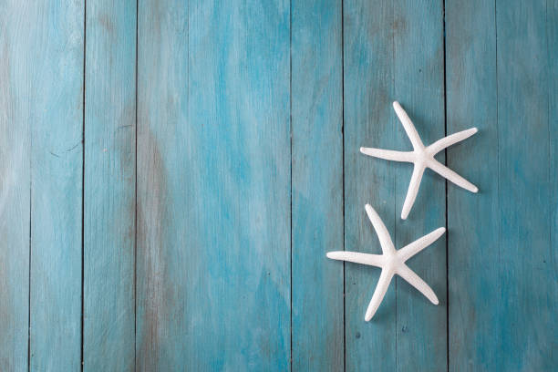 istock Summer background with starfish on blue background ,holiday card 804971058