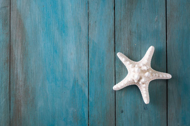 istock Summer background with starfish on blue background ,holiday card 804971396