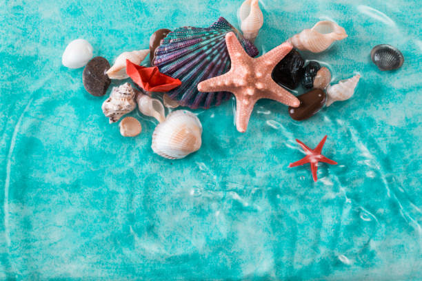 istock Vacation concept with starfish ,seashells on blue water,summer holiday concept 804971728