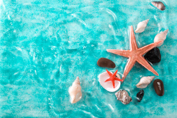 istock Vacation concept with starfish ,seashells on blue water,summer holiday concept 804971822
