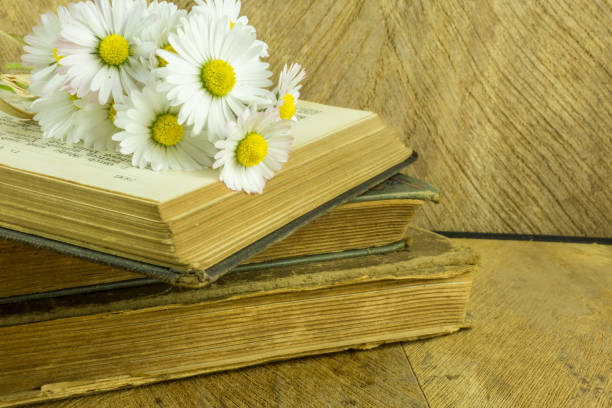 istock Old book on a rustic wooden board with daisies 804998110