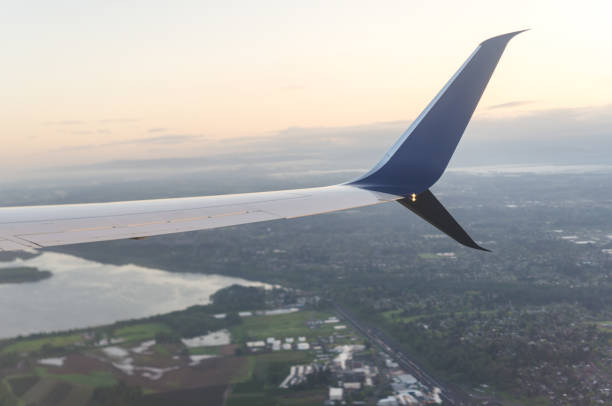 istock Aerial view of landscape with plane wing 805008866