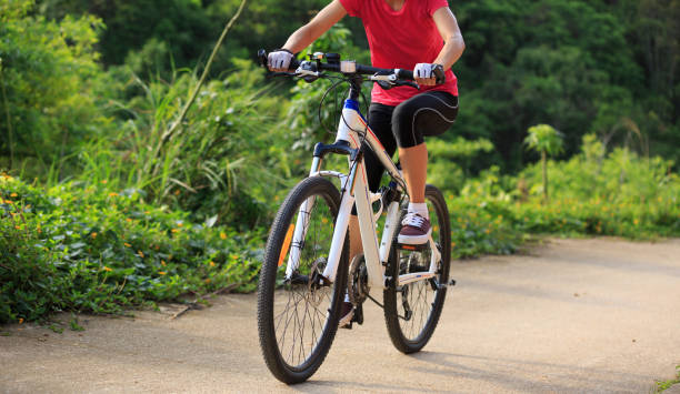 istock woman cyclist cycling on summer forest trail 805011944