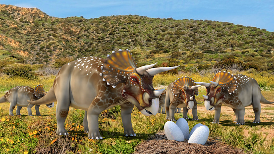 3D rendering of Triceratops in landscape with mountains