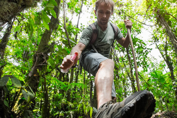istock Hiker in the tropical forest 805033812