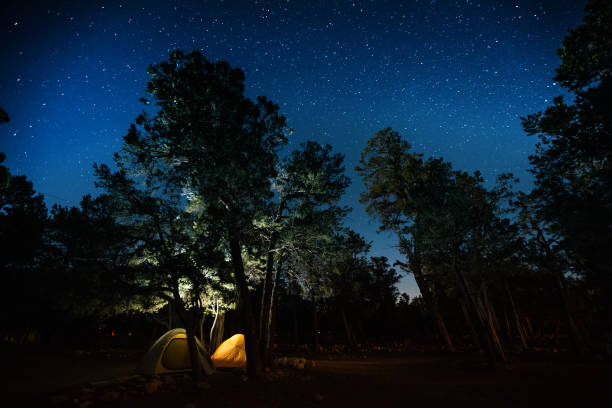 istock Two tents set among the trees 805034100